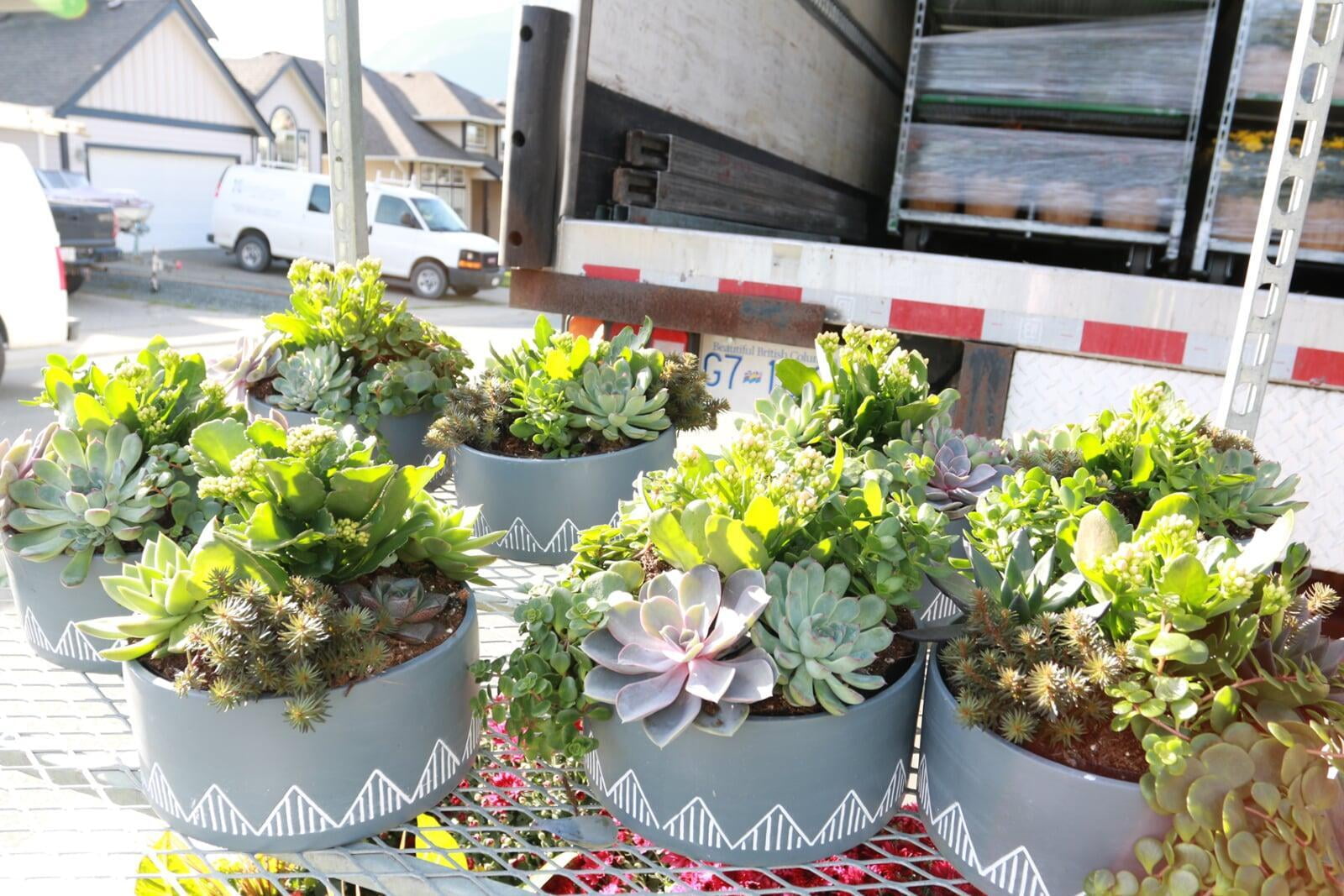 Feature Friday: Plant Care